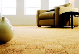 Chino carpet cleaners